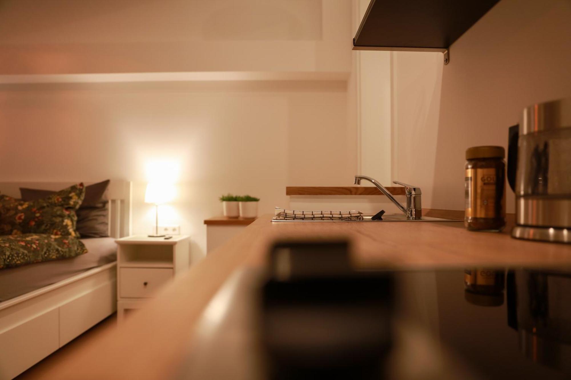 Boutique Hotel Pension Luisengruen Kueche 1Gbs Wlan Netflix Disney Magentatv Chemnitz Ngoại thất bức ảnh